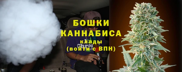 эйфоретик Липки