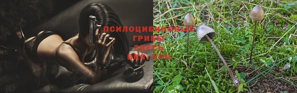 стаф Лиски